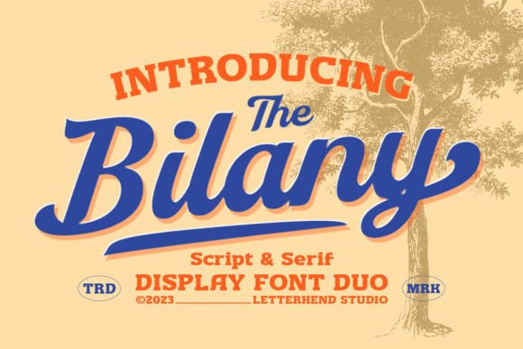 The Bilany: A Vintage Script and Slab Serif Duo for Bold Branding